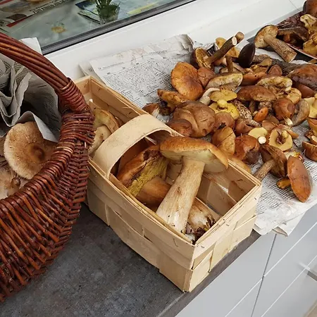 Seeidyll Dom wakacyjny Heidesee