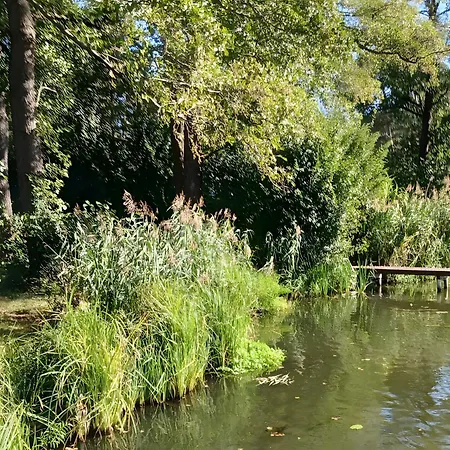 Дом отдыха Seeidyll Heidesee