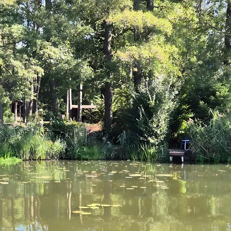 Seeidyll Heidesee