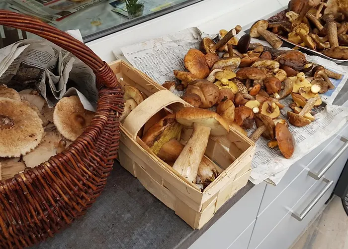 Seeidyll Сasa de vacaciones Heidesee